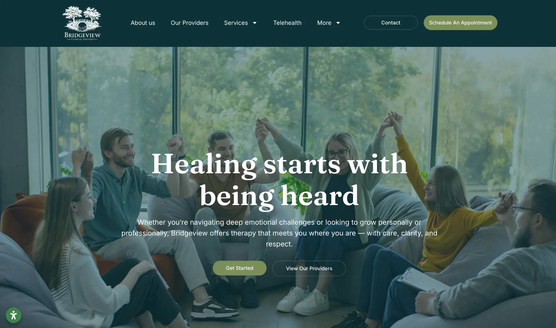 Bridgeview Counseling homepage screenshot